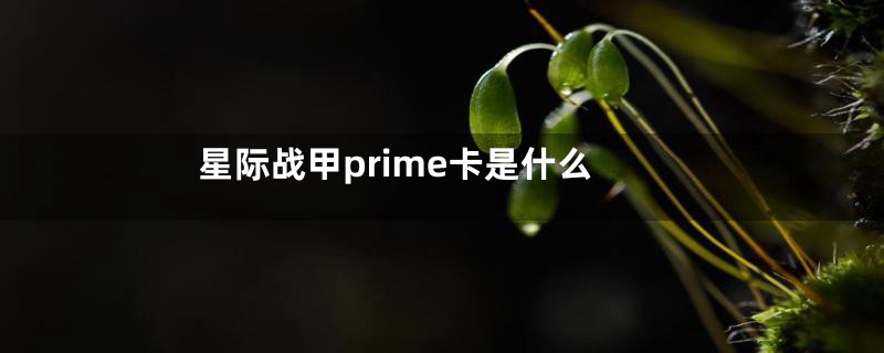 星际战甲prime卡是什么
