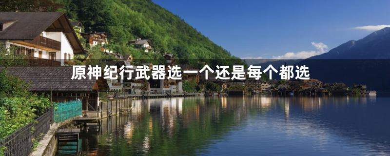 原神纪行武器选一个还是每个都选