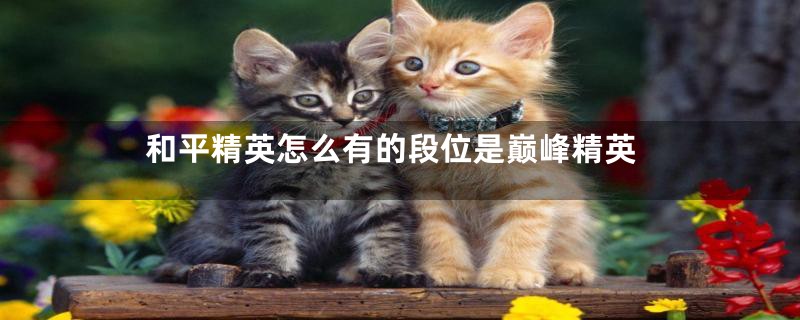 和平精英怎么有的段位是巅峰精英