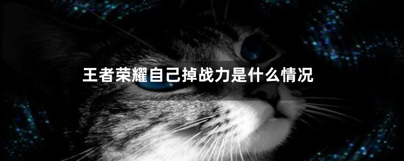 王者荣耀自己掉战力是什么情况