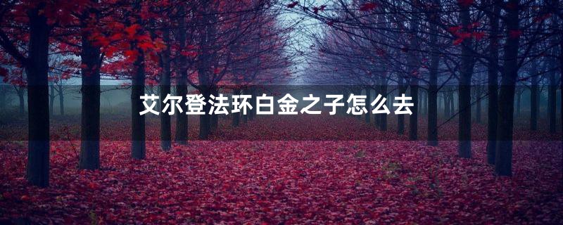 艾尔登法环白金之子怎么去