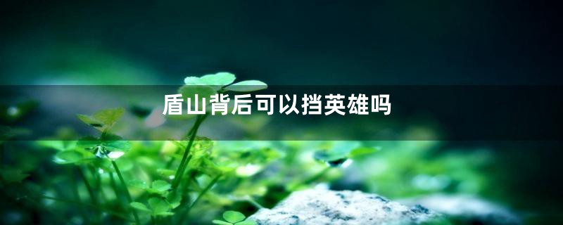 盾山背后可以挡英雄吗