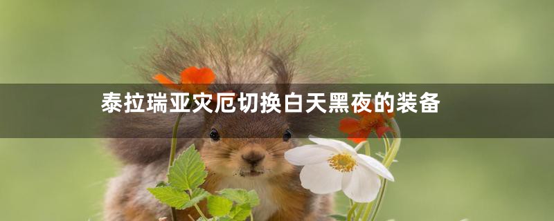 泰拉瑞亚灾厄切换白天黑夜的装备