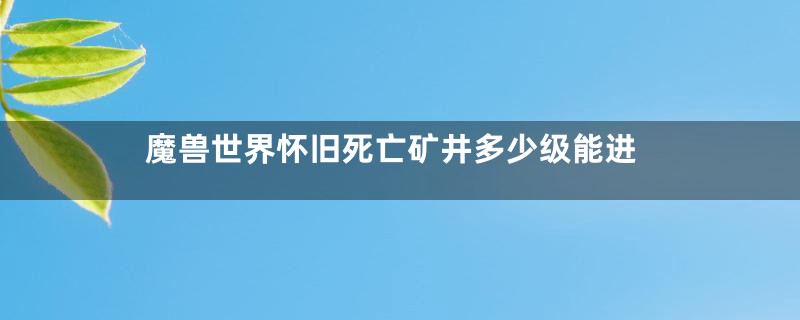 魔兽世界怀旧死亡矿井多少级能进