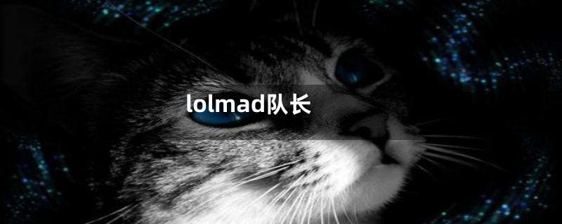 lolmad队长