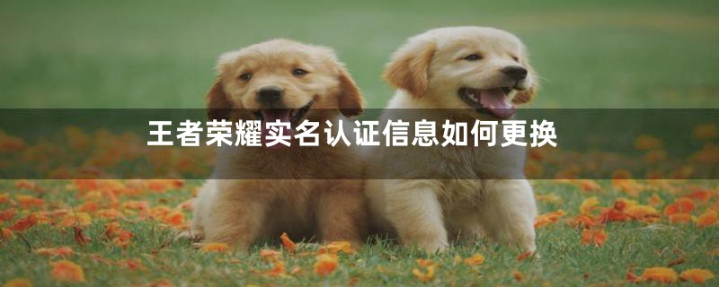 王者荣耀实名认证信息如何更换