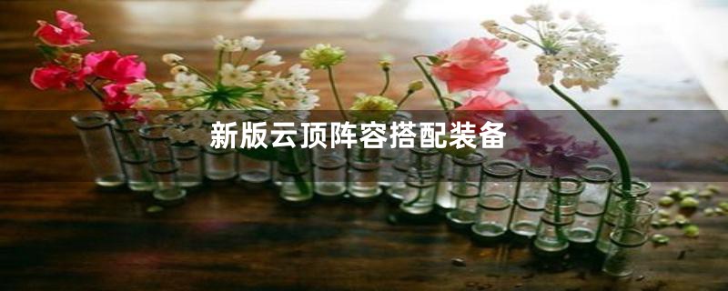 新版云顶阵容搭配装备