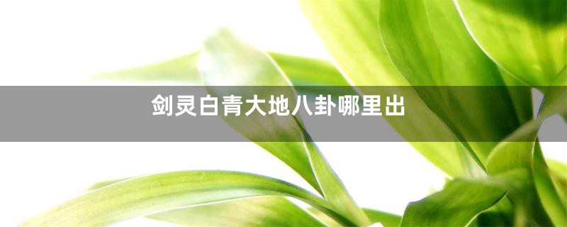 剑灵白青大地八卦哪里出