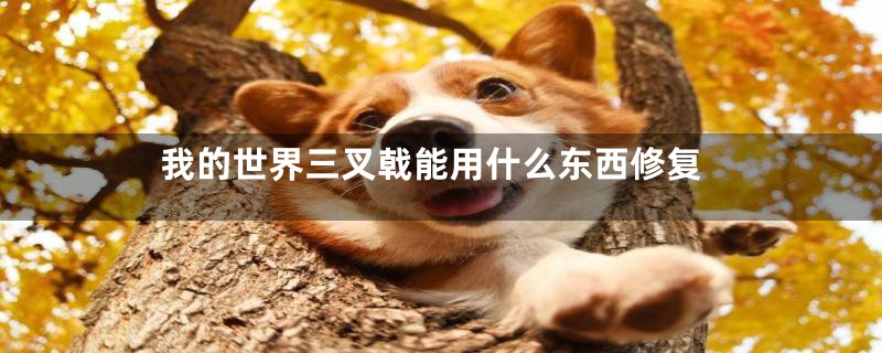 我的世界三叉戟能用什么东西修复