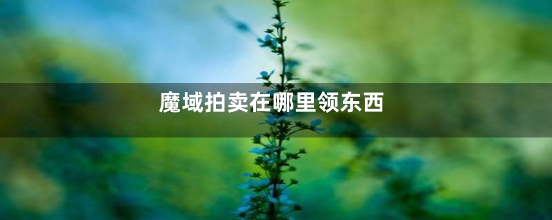 魔域拍卖在哪里领东西