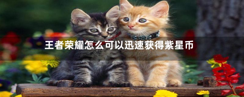 王者荣耀怎么可以迅速获得紫星币
