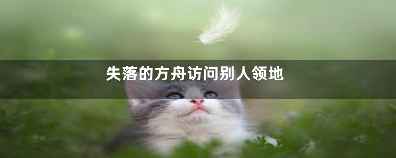 失落的方舟访问别人领地