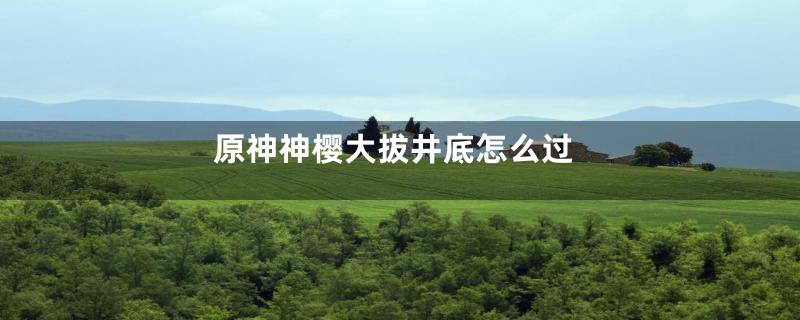 原神神樱大拔井底怎么过