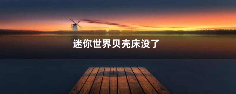 迷你世界贝壳床没了