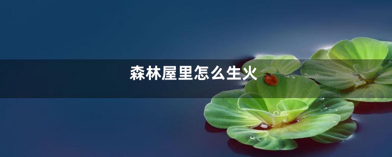 森林屋里怎么生火