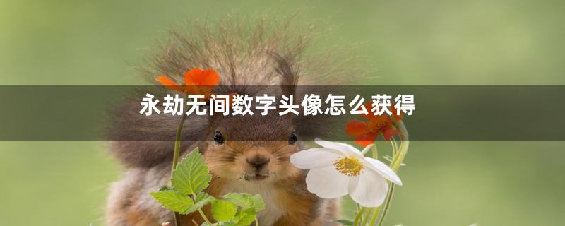 永劫无间数字头像怎么获得