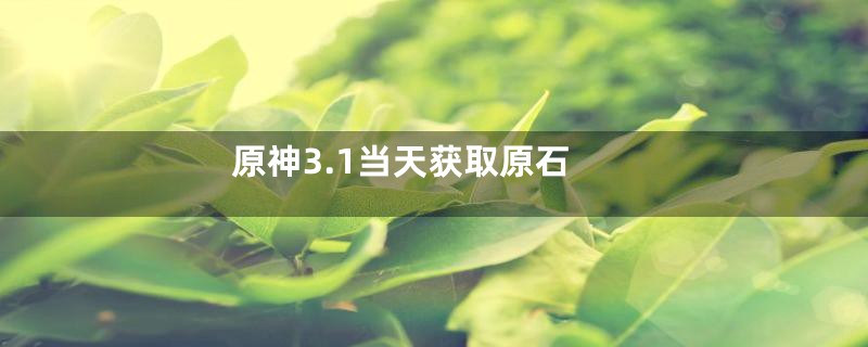 原神3.1当天获取原石