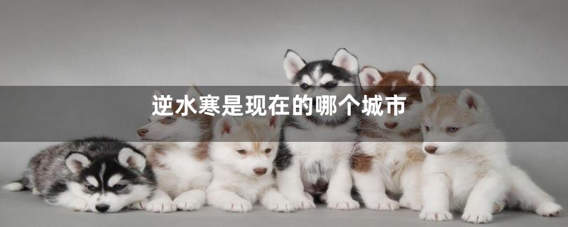 逆水寒是现在的哪个城市