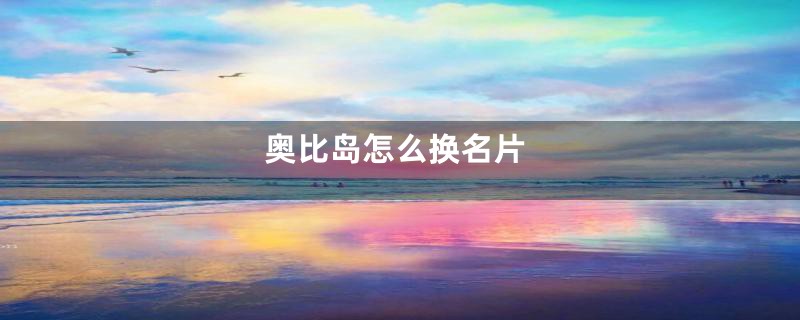 奥比岛怎么换名片