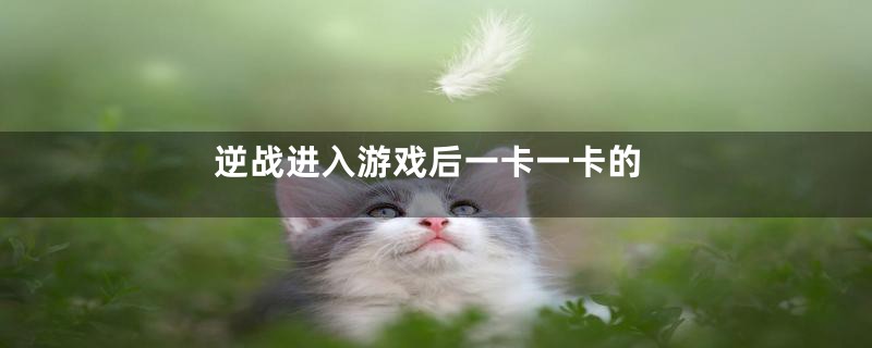 逆战进入游戏后一卡一卡的
