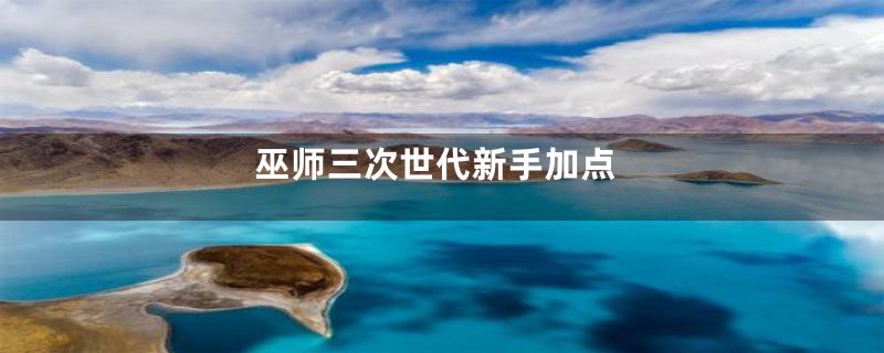 巫师三次世代新手加点