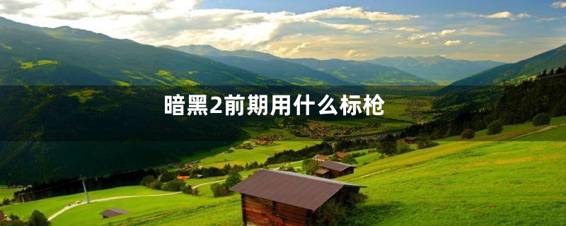 暗黑2前期用什么标枪