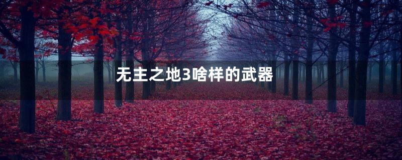 无主之地3啥样的武器