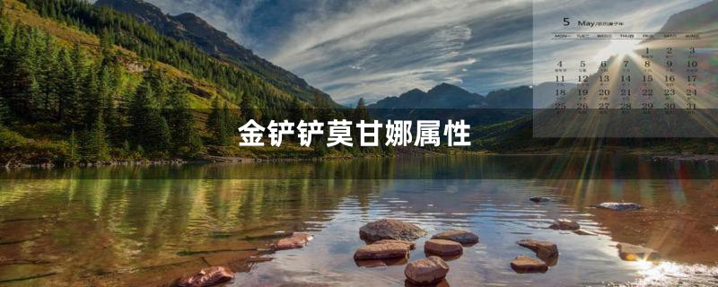 金铲铲莫甘娜属性