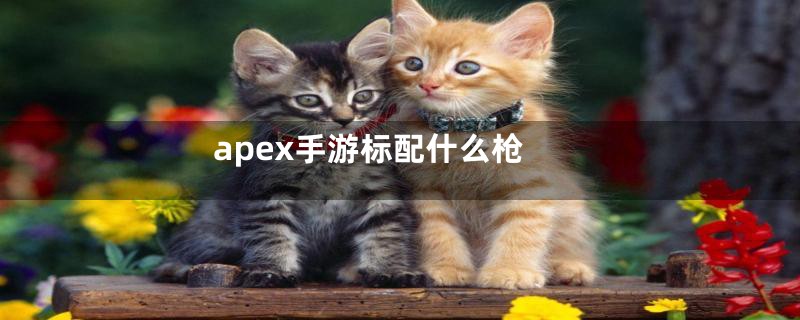 apex手游标配什么枪