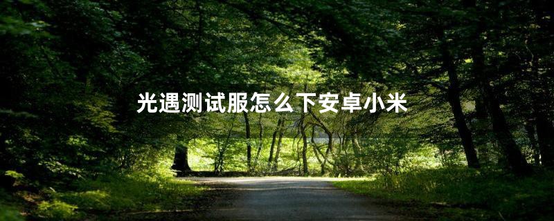 光遇测试服怎么下安卓小米