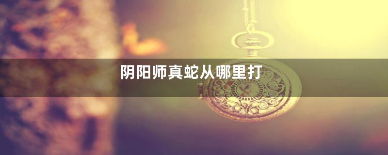 阴阳师真蛇从哪里打