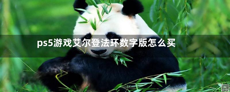 ps5游戏艾尔登法环数字版怎么买
