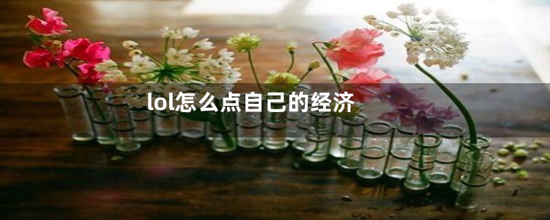 lol怎么点自己的经济