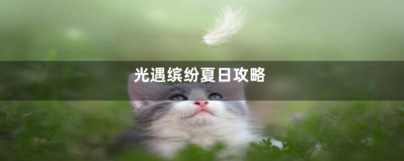 光遇缤纷夏日攻略
