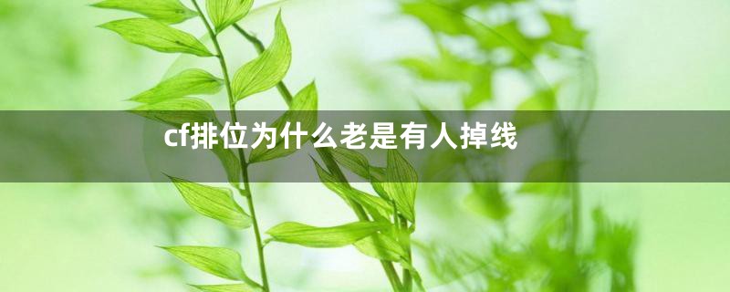 cf排位为什么老是有人掉线