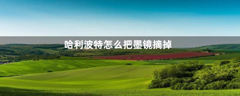 哈利波特怎么把墨镜摘掉