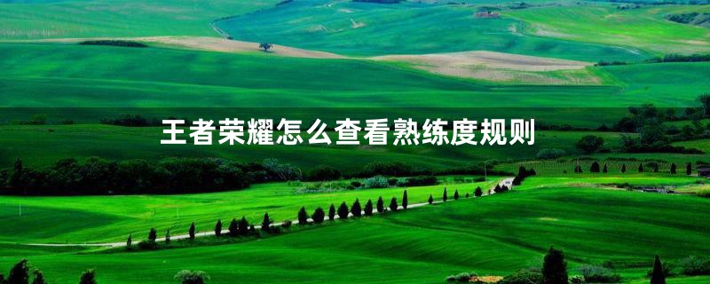 王者荣耀怎么查看熟练度规则