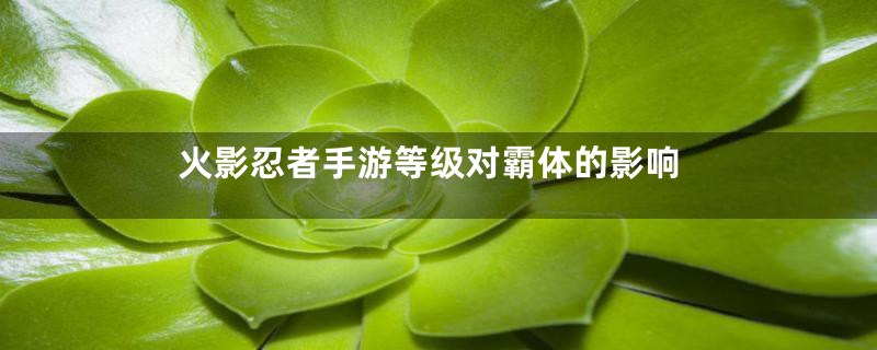 火影忍者手游等级对霸体的影响