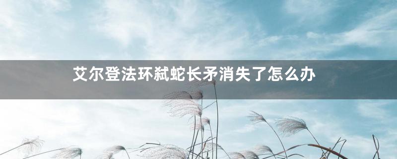 艾尔登法环弑蛇长矛消失了怎么办