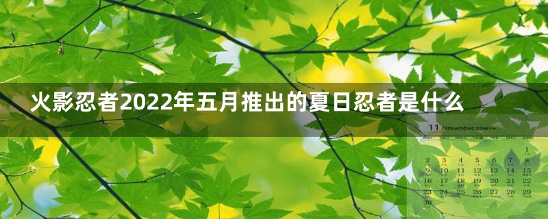 火影忍者2022年五月推出的夏日忍者是什么