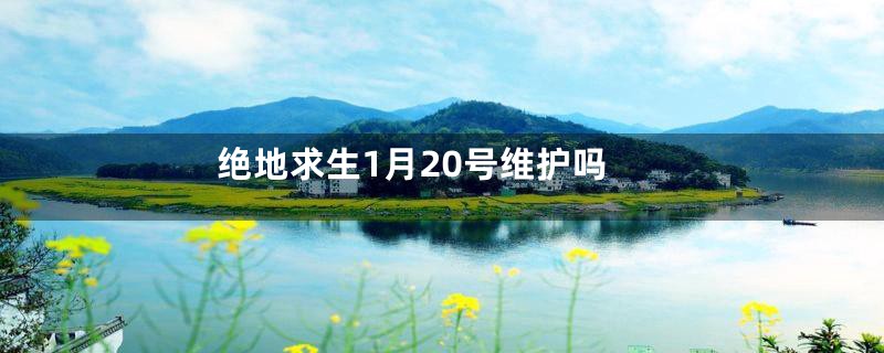 绝地求生1月20号维护吗