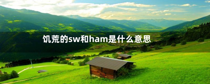饥荒的sw和ham是什么意思