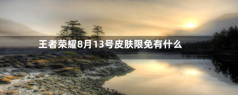 王者荣耀8月13号皮肤限免有什么