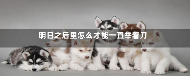 明日之后里怎么才能一直举着刀