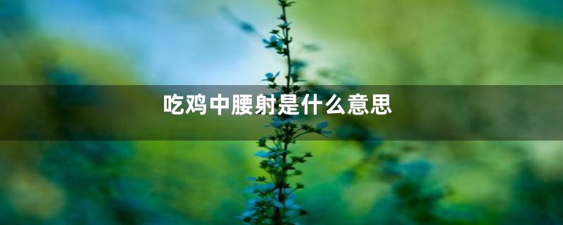 吃鸡中腰射是什么意思