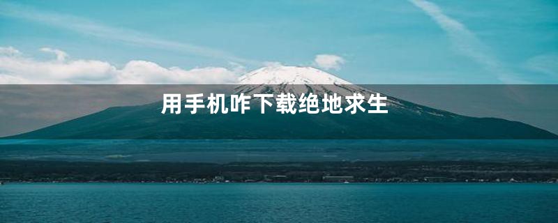 用手机咋下载绝地求生