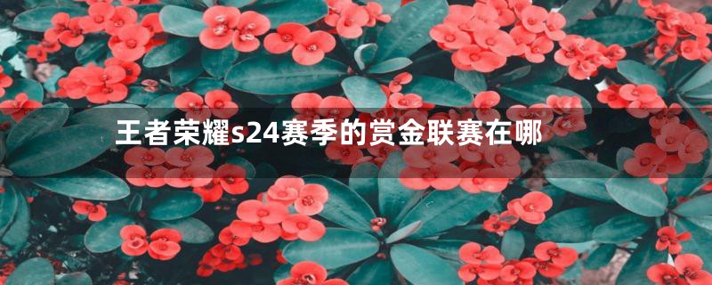 王者荣耀s24赛季的赏金联赛在哪