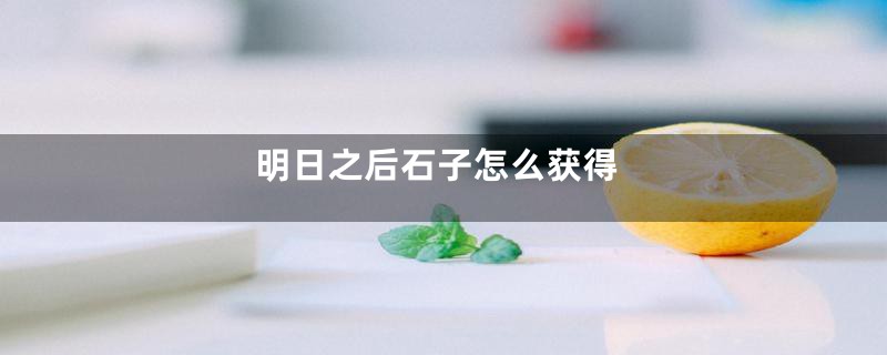 明日之后石子怎么获得