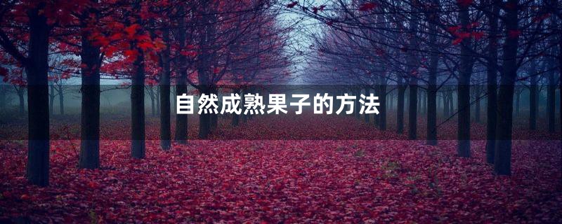 自然成熟果子的方法