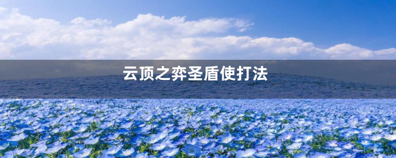 云顶之弈圣盾使打法